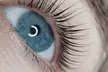 Elevate Your look with Lash Lift and Tint with Iryna at Estetika The House of Beauty ( Up to 44% Off ) - Second Medium