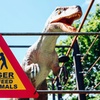Image 13: Ticket to Dinosaurs In The Park for 2, 3 or 4 (17th May-8th June 2025)