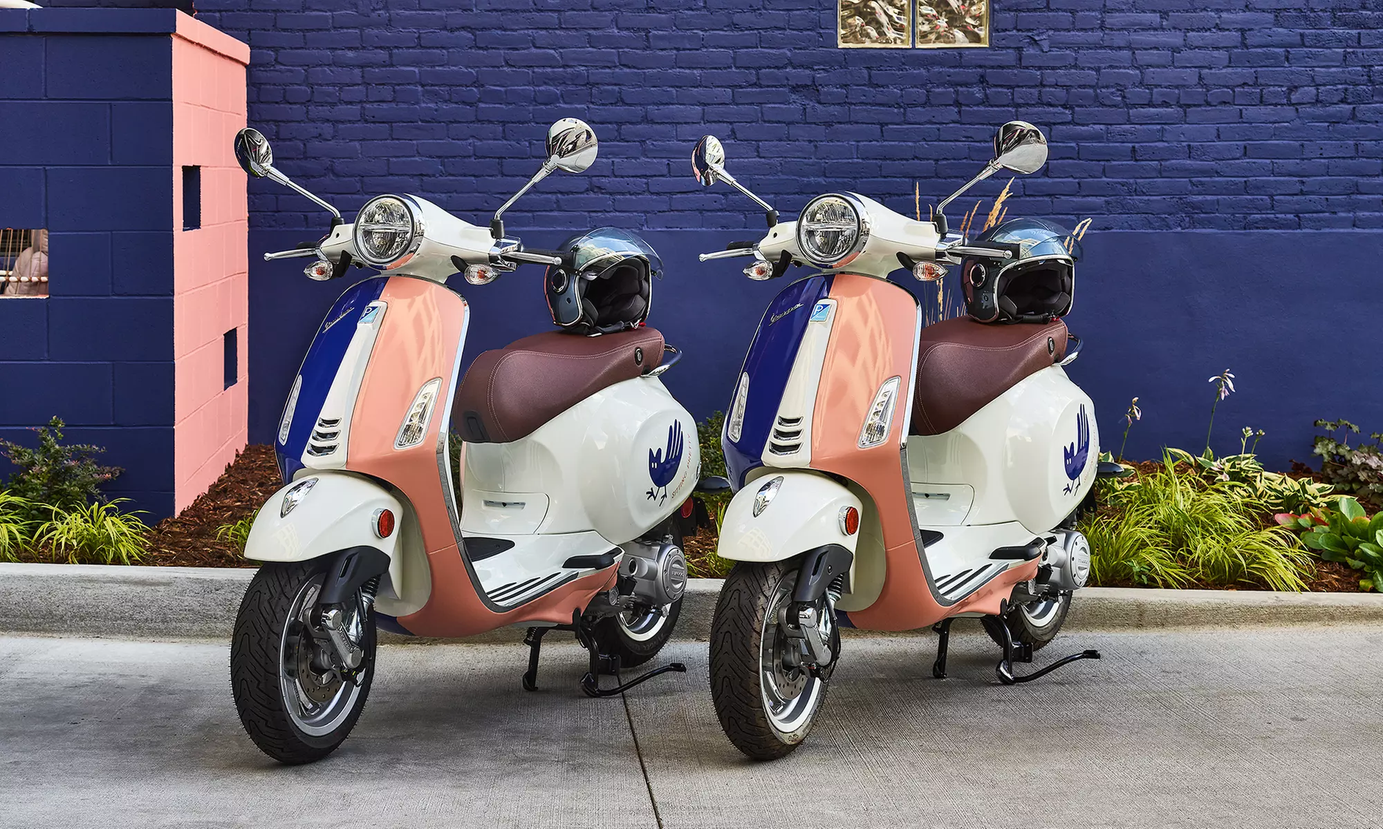 The 4-Star Catbird Hotel: Family-Friendly & Affordable - Book Now!