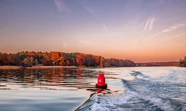 What to expect media