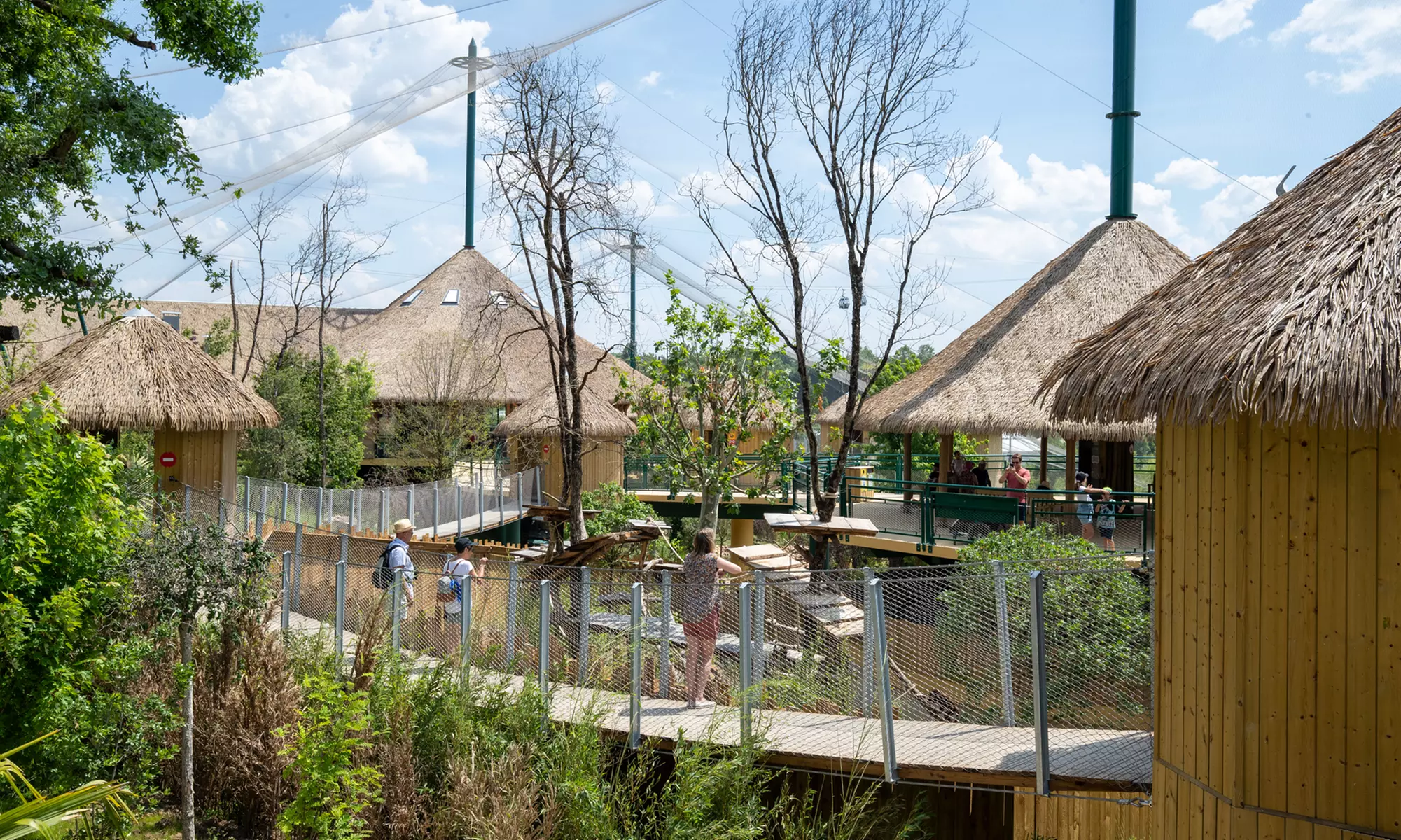 ZooParc de Beauval : 1 ou 2 jours pour un tour du monde animal