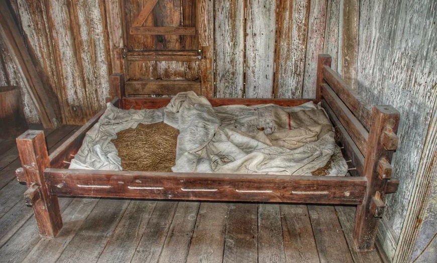 Image 4: Up to 21% Off Historic New Orleans Plantation Tours