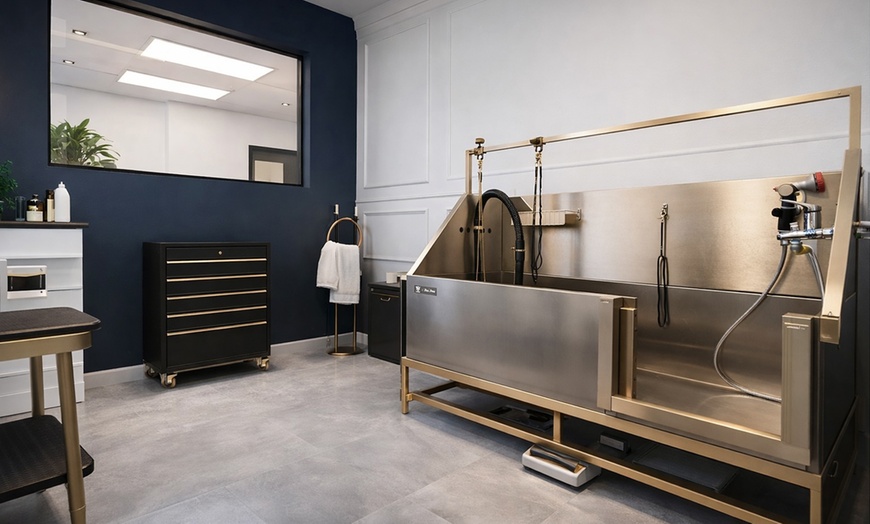 Image 4: Get a Full Bath / Grooming Package for Small | Medium | Large Dogs