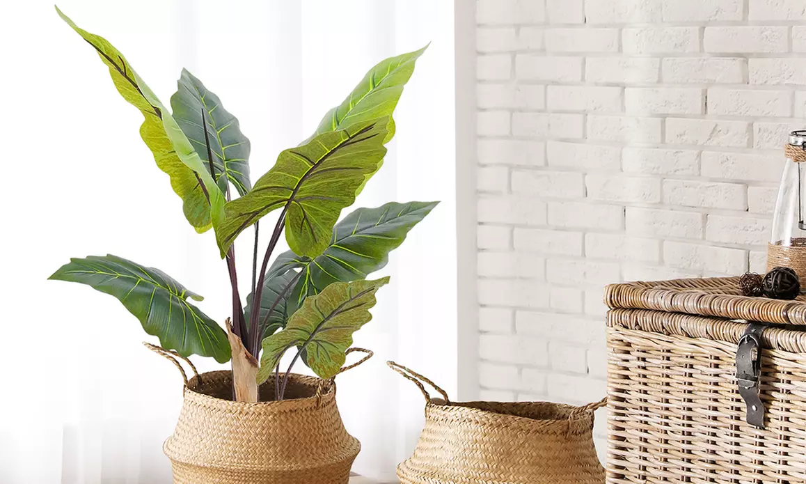 Collezione di piante finte da interno