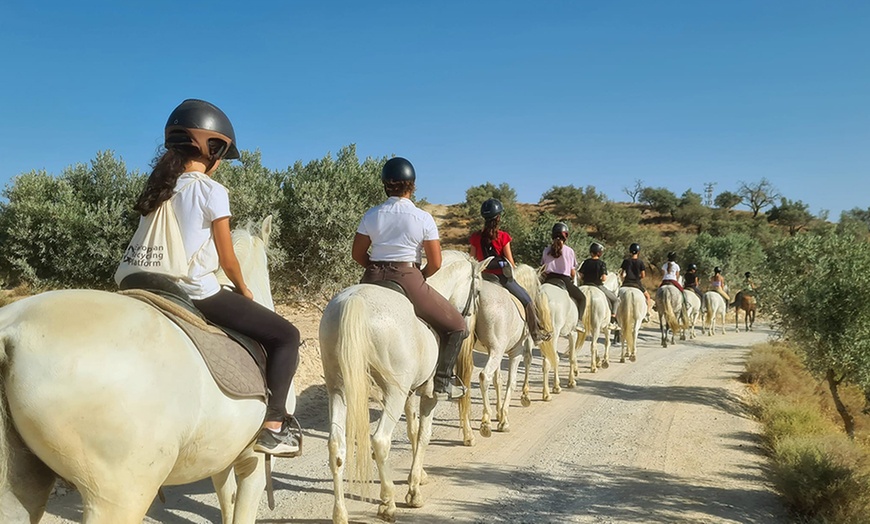 Image 3: Paseo a caballo de 1 hora para 2 o 4 por paraje natural de Granada