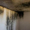 Image 5: Comprehensive Home Wellness Packages: Mold, Air Quality & Dryer Safety