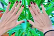 Spa Pedicure with Reflexology or No-Chip Mani & Pedi Combo at Grace Nails Up To   35% Off - Second Medium