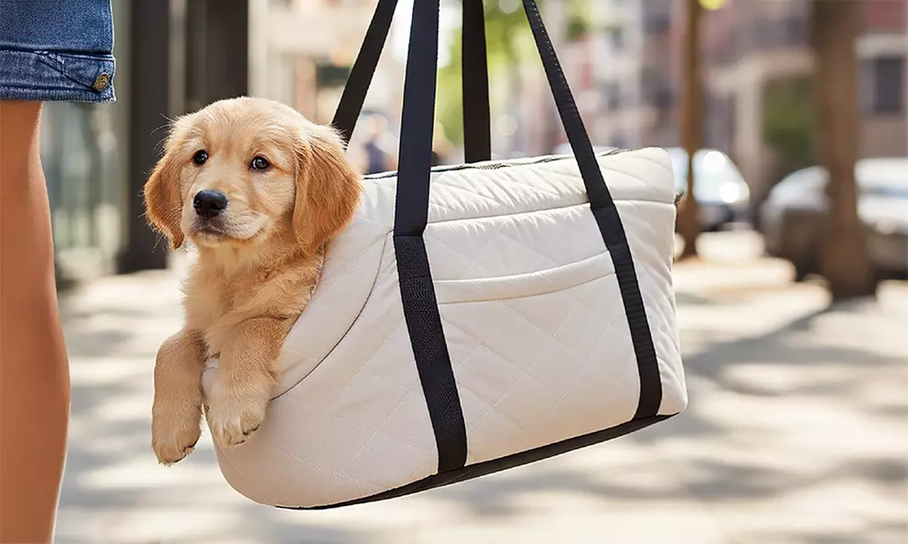 'Doggybag': tas om een kleine hond mee te dragen