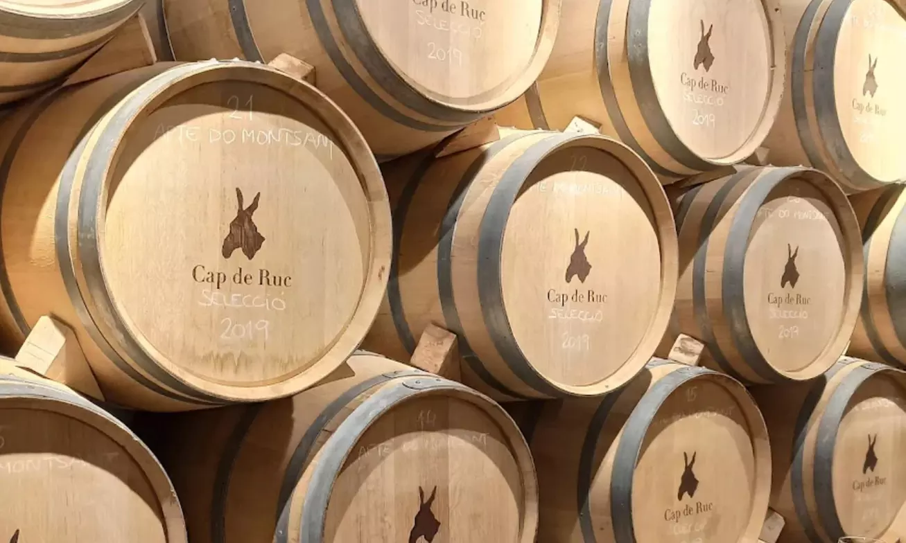 Visita y cata de vinos alta gama