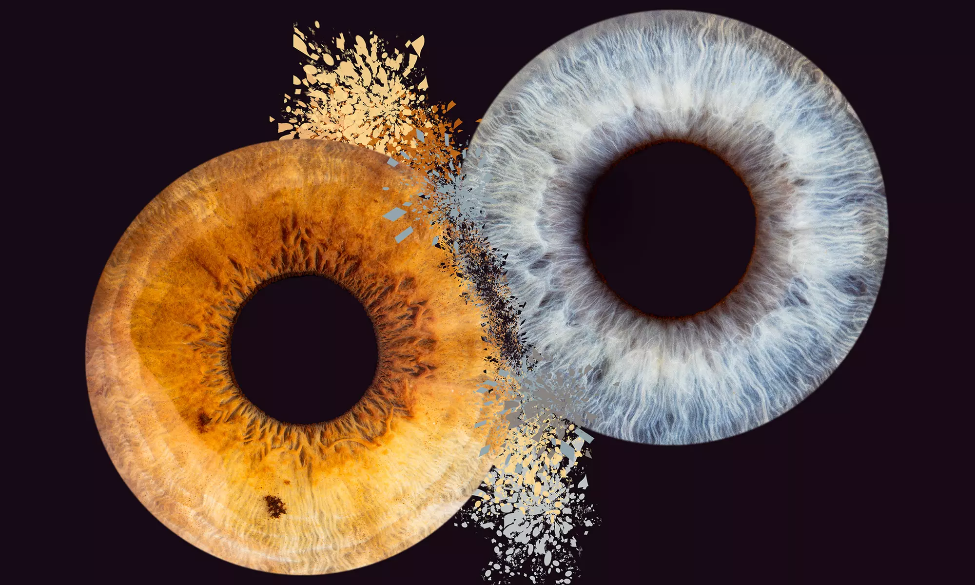 Iris-Fotoshooting für 1 - 3 Iriden ohne Effekt inkl. Bild als Datei