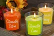 Citronella Scented Candle Collection - Set of 3 - Second Medium
