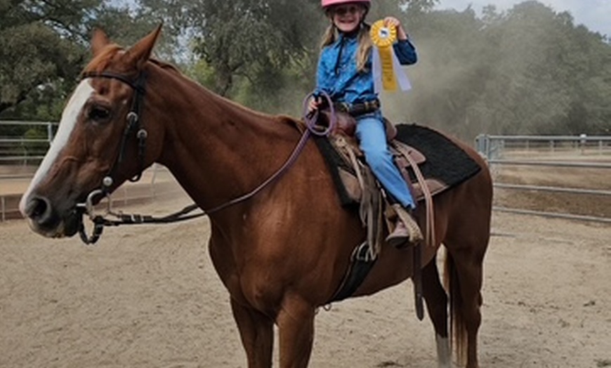 Image 6: 1,2 3, or 4 Horseback Riding Lessons for One Hour Each Sessions