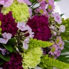 Image 3: Un bouquet du fleuriste avec Kokomo