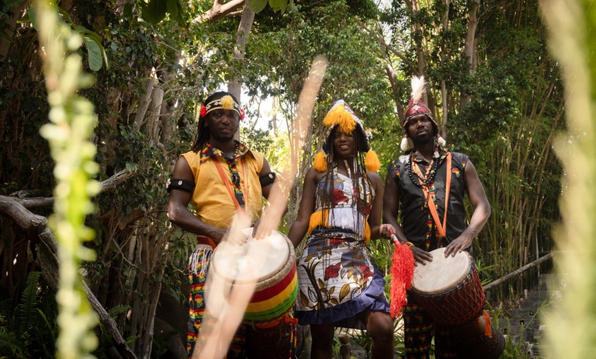 Image 3: Entrada nocturna a Bioparc Fuengirola con cena para niño o adulto