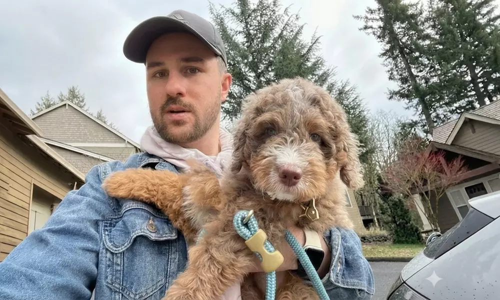 One Hour Dog Walking Packages with 5, 7, or 10 Visit Options