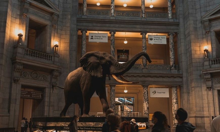 Image 5: Explore DC's Iconic Monuments with Door-To-Door Transportation 