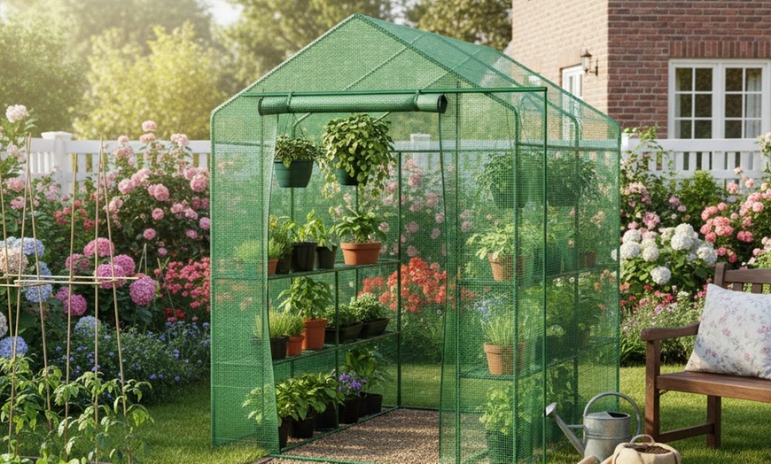 Image 37: Serre da giardino