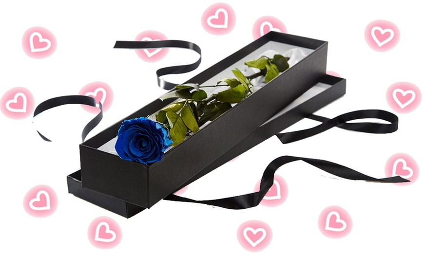 Image 3: Special Valentine Gift! 50% Off single Rose Box!