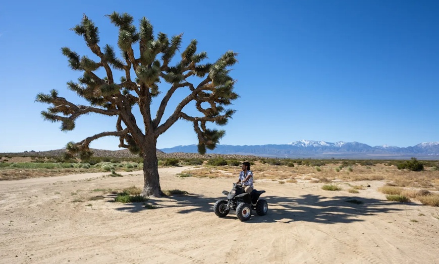 Image 3: Conquer Desert Trails: Enjoy Easy-to-Drive ATV Rentals