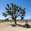 Image 3: Conquer Desert Trails: Enjoy Easy-to-Drive ATV Rentals