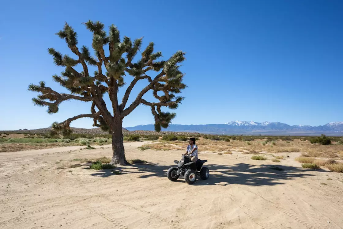 Top Things To Do In Lancaster, CA - Groupon