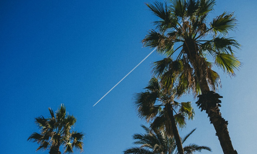 Image 10: Alquiler de tablas de paddle surf durante 1 hora para hasta 4 personas