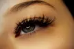 Flawless Lashes: Classic, Volume, or Mega Volume Set Eyelash Extensions at Lash & Dash Denver (Up to 62% Off) - Second Medium