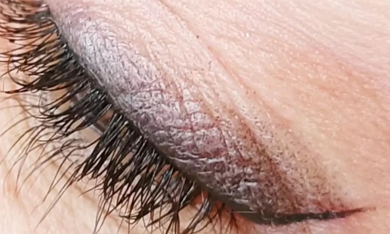 Maquillage semi-permanent Eye Liner ou Lèvres au choix ou microshading