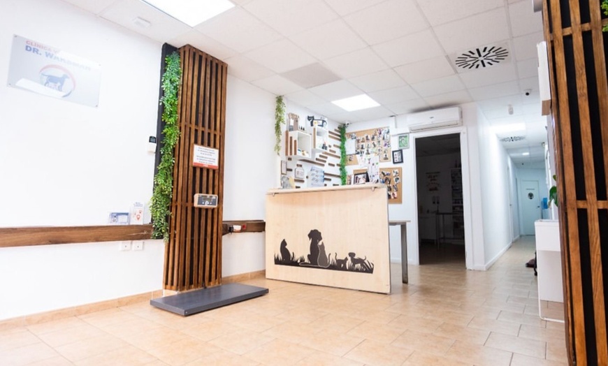 Image 4: Sesión de peluquería canina para perros de hasta 6, 15 o 30 kg