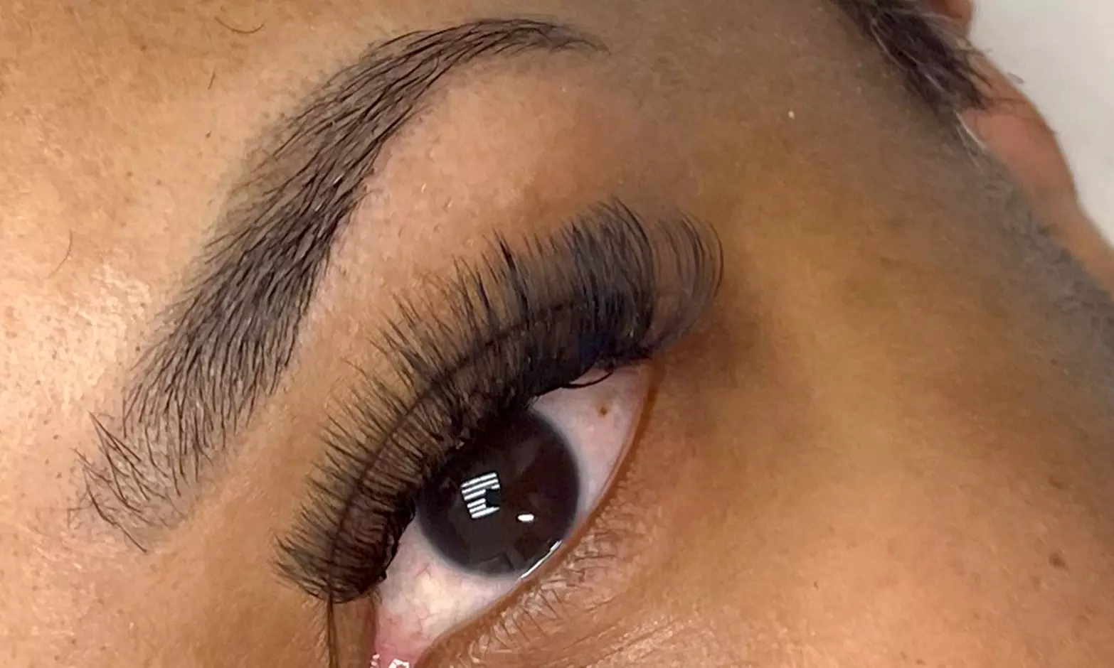 Get Bold: Classic Individual Eyelash Extensions or Lash Lift and Tint