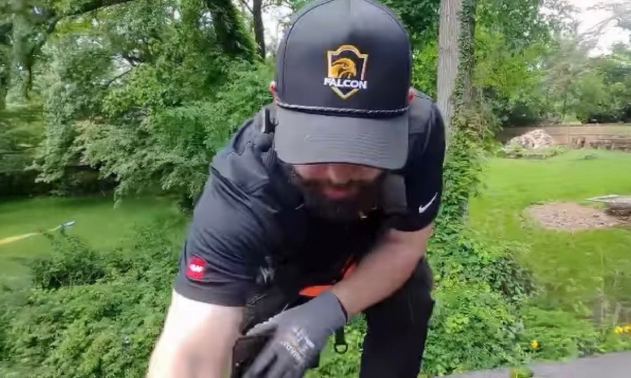 Gutter Cleaning for One-Story Homes up to 3000+ SqFt or Two-Story Home