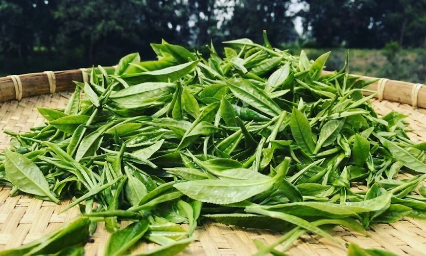 Image 7: Vineyard Tours with Wine and Tea Tastings in Scenic Setting