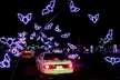 Visit Enchanted Lights Halloween Park: An Immersive Light Show Experience for the Whole Family (Up to 34% Off) - Second Medium