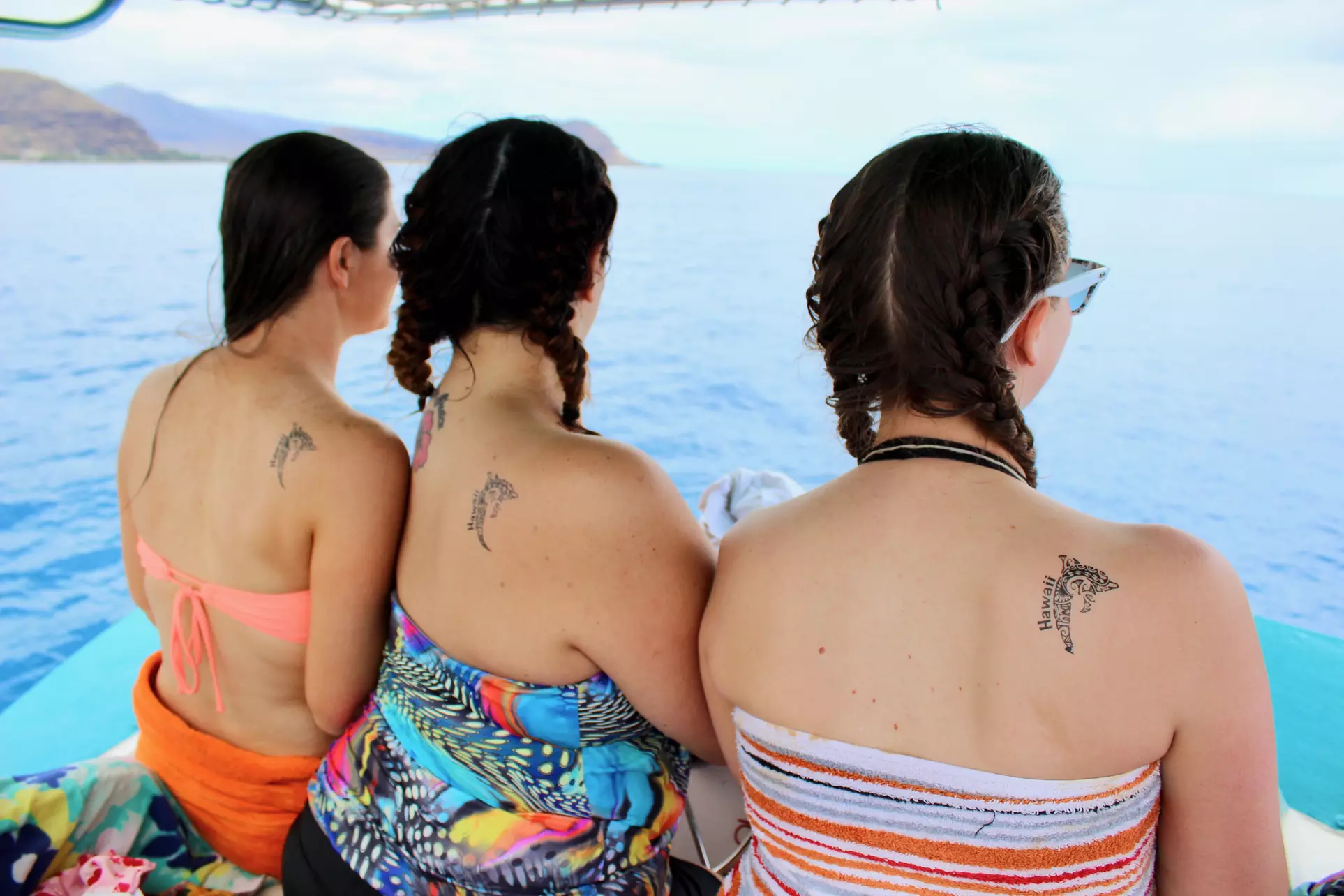  Oahu Dolphin Cruise & TurtleSnorkeling w/20ft WaterSlide Lunch& Hula