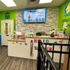 Image 11: Weekday Fun and Care with One, Three or Five Days of Dog Daycare