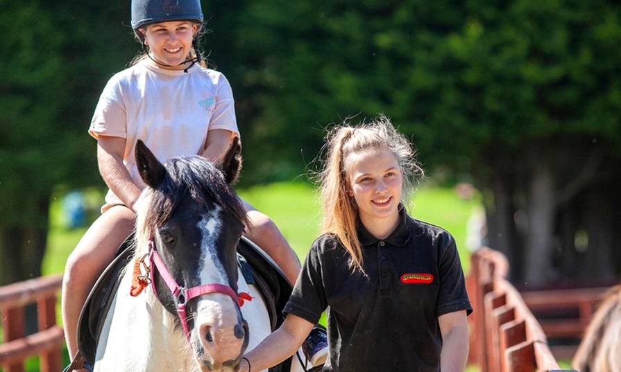 Experience Endless Fun with Entry for One, Two or Family of Four