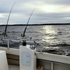 Image 4: Join All Inclusive Thrilling Fishing Trip For Up to Four People 