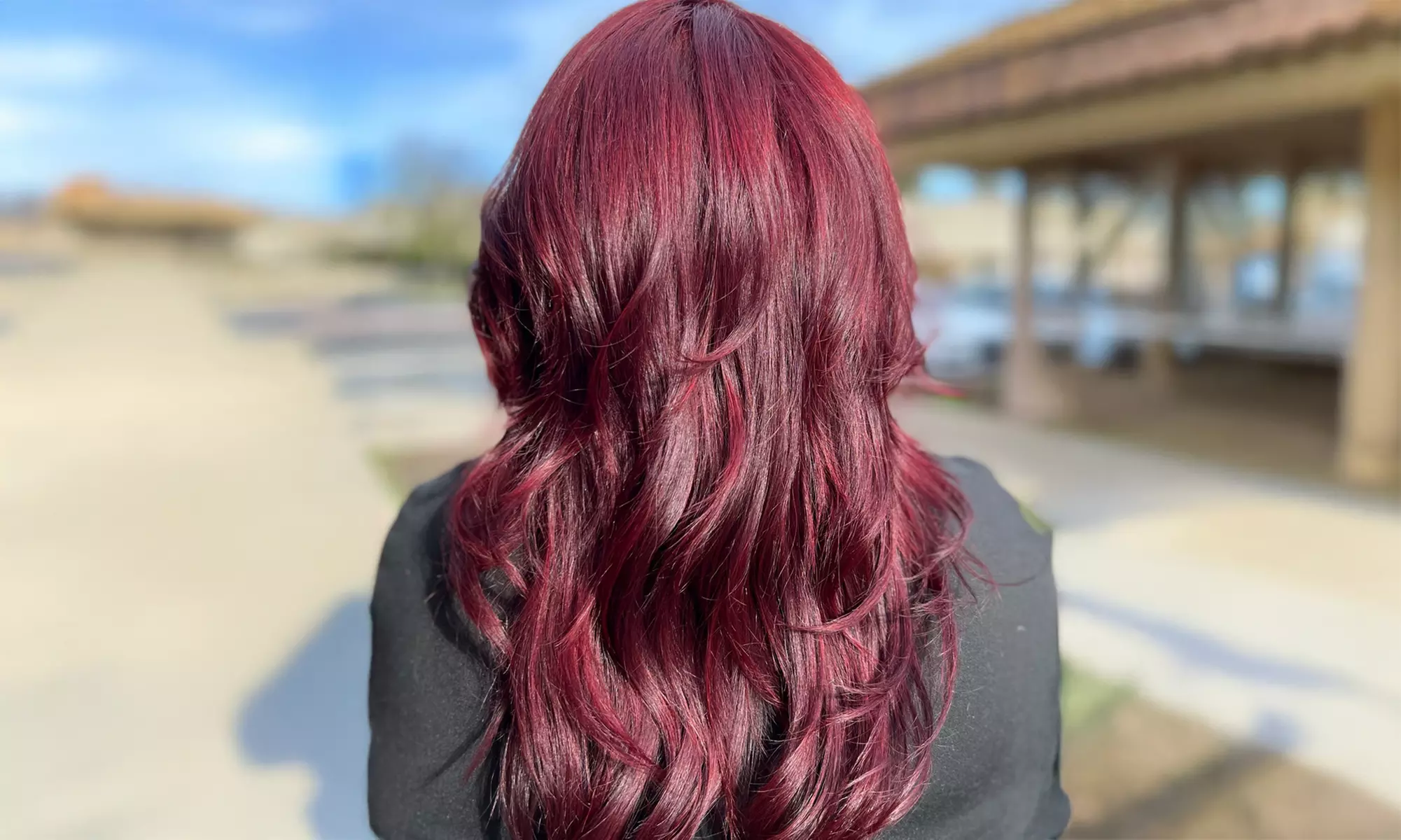 Haircut with Shampoo, and Styling with Optional 1 or 2 Hair Treatments