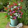 Image 3: Geranium Flower Power Trio - 3 or 6 Plants with Optional Tower Pot