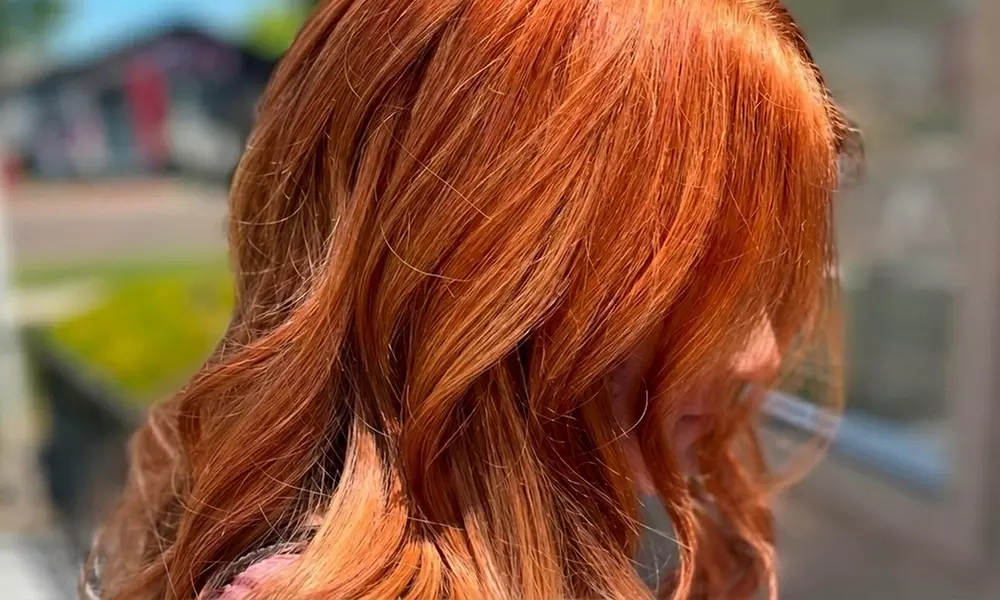 Haircut w/ Conditioning & Blowout or All Over Color, Highlight & More