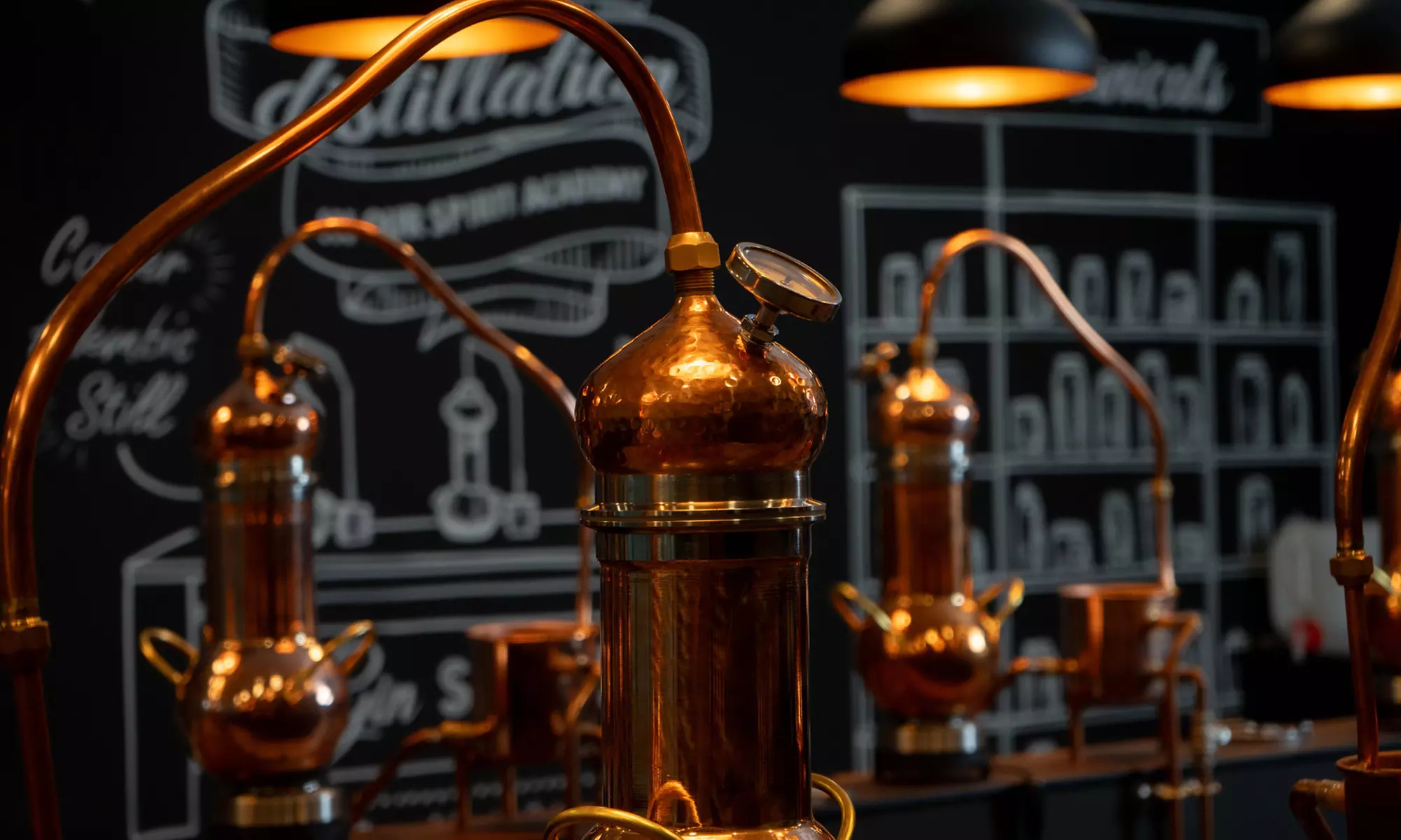 The Guided Spirit Academy Experience at Bros Distillery for 1, 2 or 4