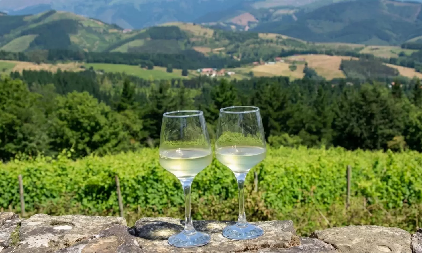 Cata de vino y aperitivo con visita a bodega para 2 o 4 en Llodio