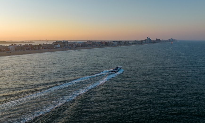 Image 8: Dolphins, Speed & Sunsets—Cruises for All Ages!