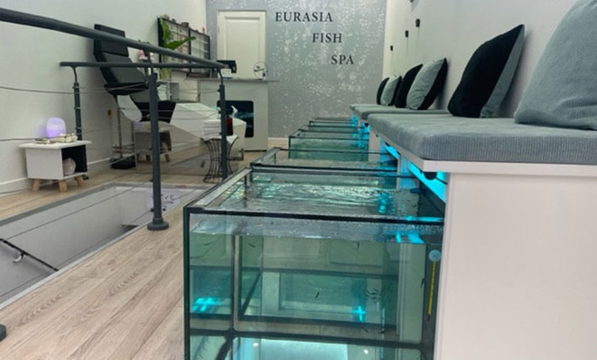 Image 2: Jusqu'à 30% de remise sur Pédicure - Poissons chez Eurasia Fish Spa