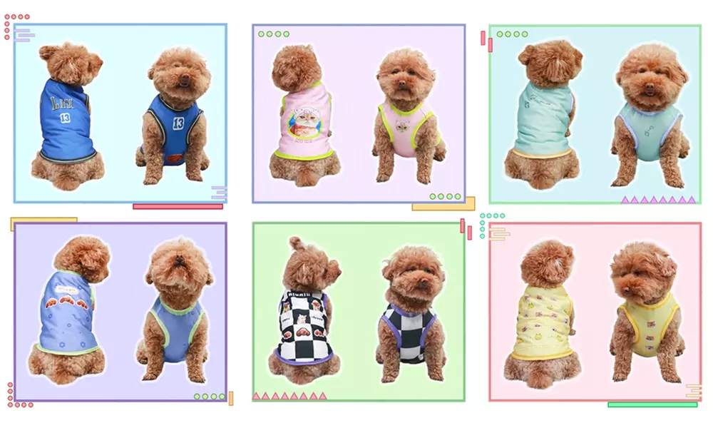 Custom Pet Fashion – Pawsome Style & Comfort Tailored Just for Them