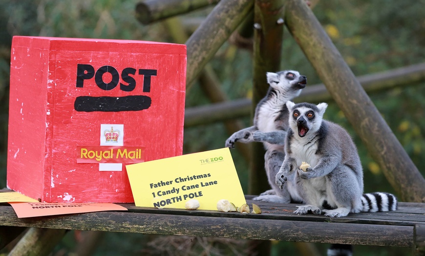 Image 17: General Admission to Belfast Zoo For Child, Adult, or Family 