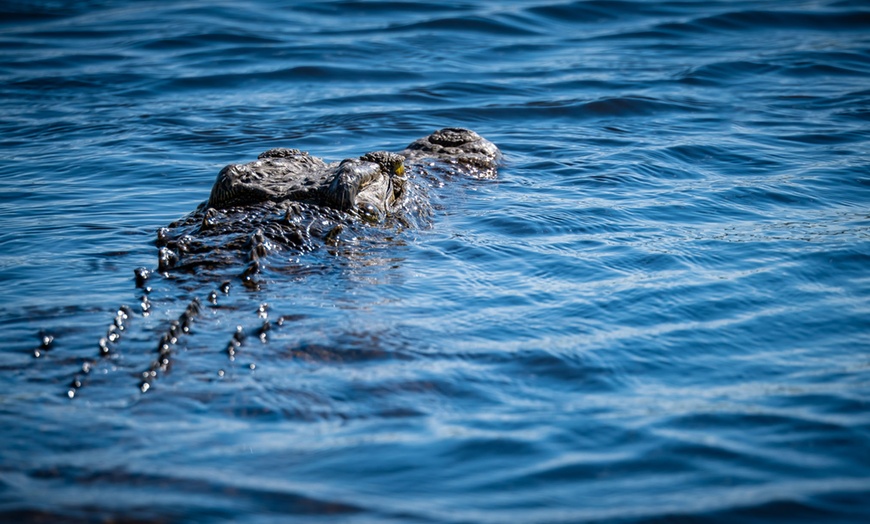 Image 43: Zimbabwe: 7-Night Yoga & Safari Retreat