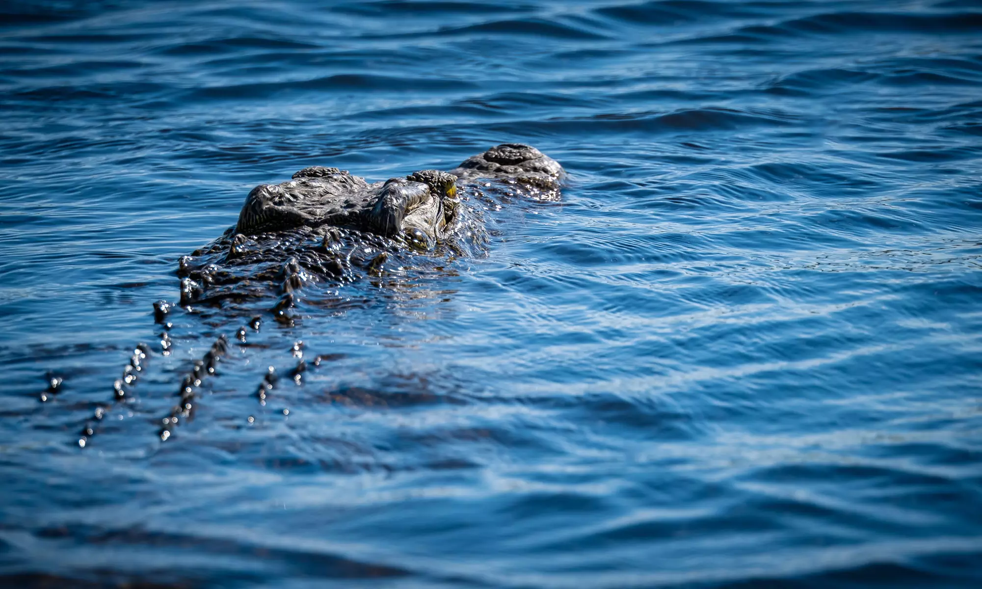 Zimbabwe: 7-Night Yoga & Safari Retreat