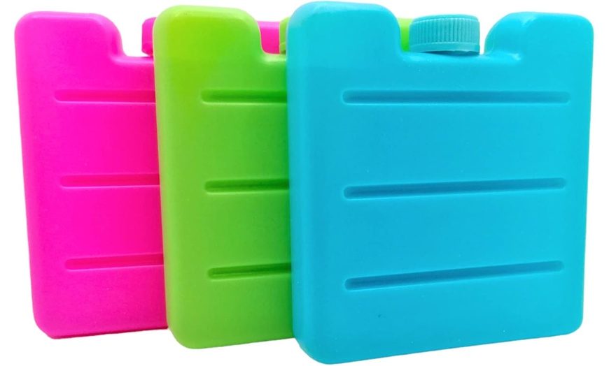 Image 3: 12 or 18 Generise Mini Freezer Blocks