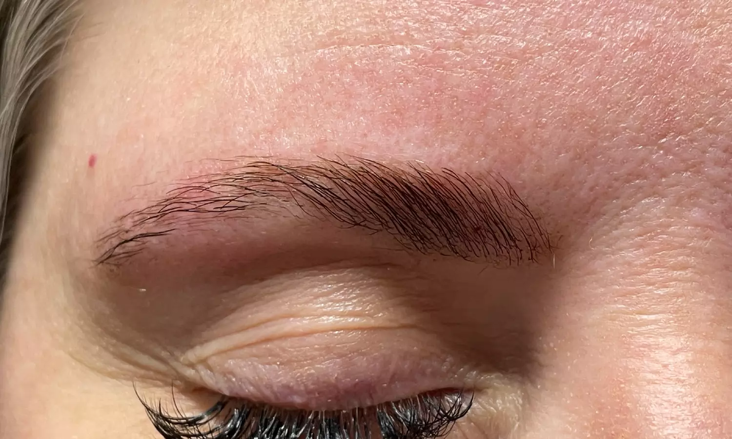 Enhance Your Look: Brow Lamination with Optional Tint and Brow Wax
